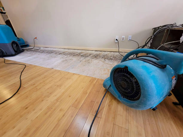 Professional Ceiling Water Damage Repair technician working in Anderson, CA